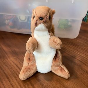 TY Beanie Baby Nuts. No tag. Good condition.